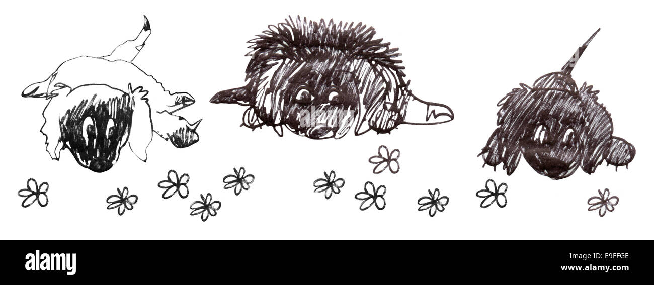 Trois chiens, sur le sol, en attente. Croquis dessin animé en noir et blanc. Banque D'Images