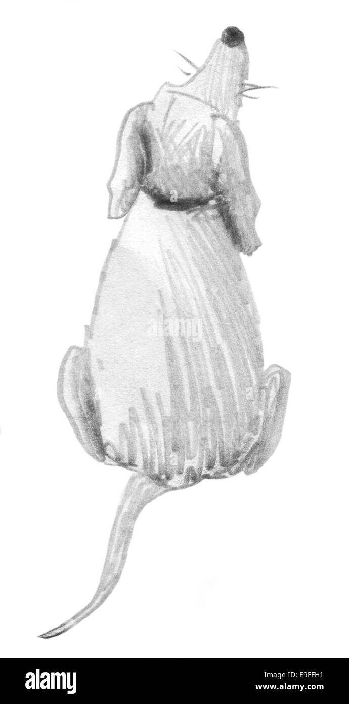 Chien assis. Caricature dessin croquis au crayon en noir et blanc. Banque D'Images