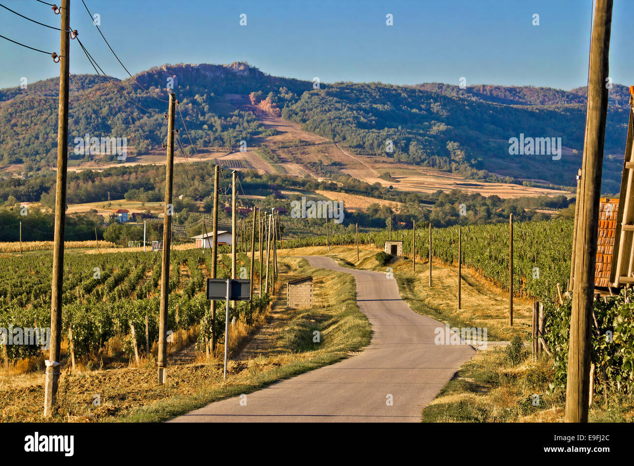 Vignoble de montagne route panoramique région Banque D'Images