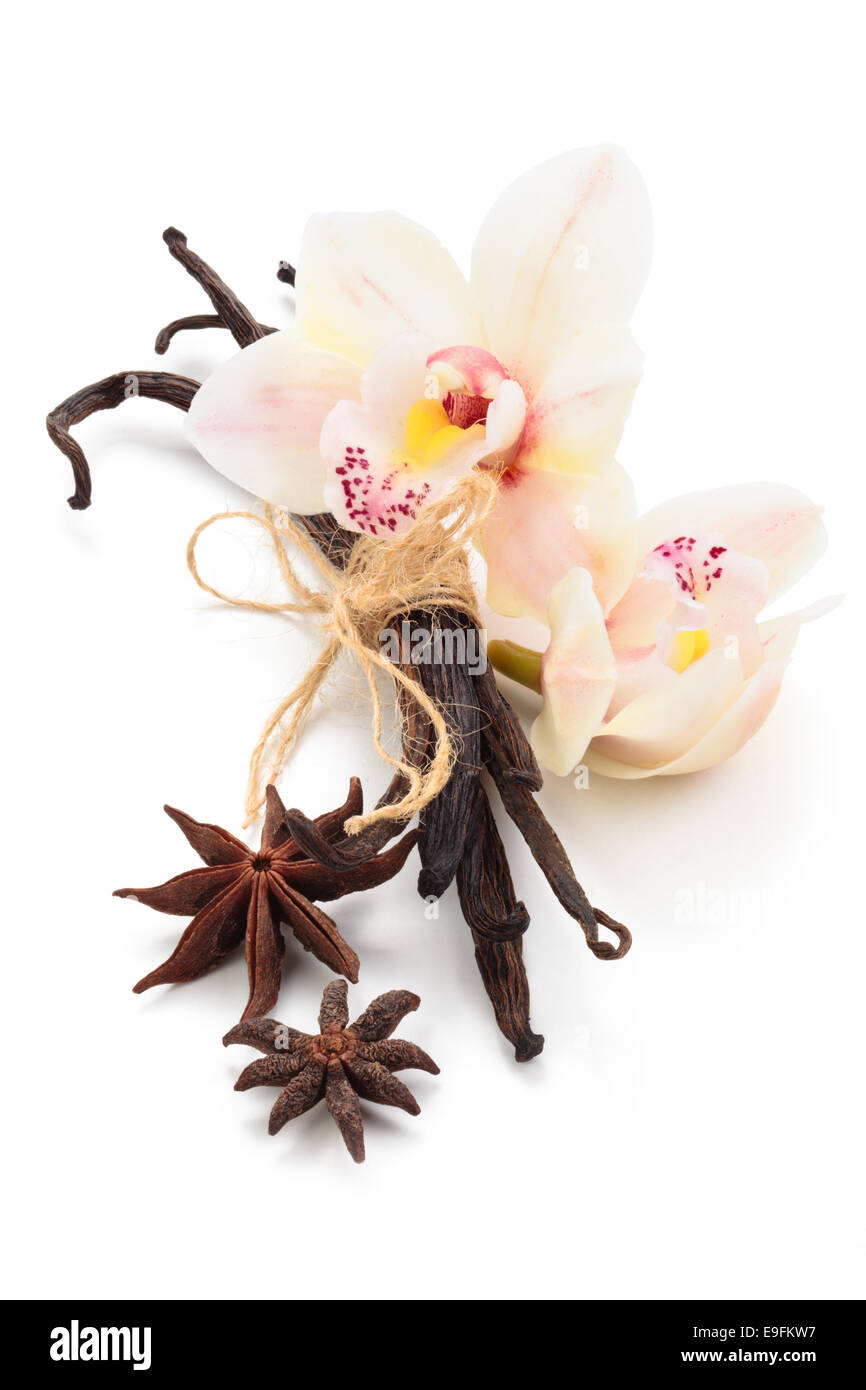 Les gousses de vanille et d'orchidées. Banque D'Images
