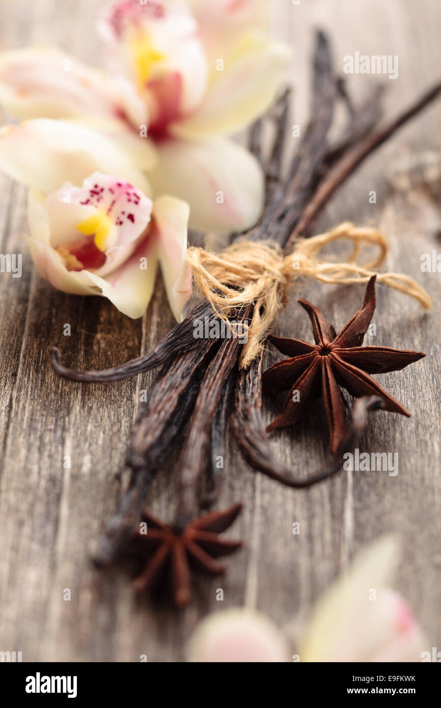 Les gousses de vanille et vanille liée des fleurs sur table en bois ancien. Banque D'Images