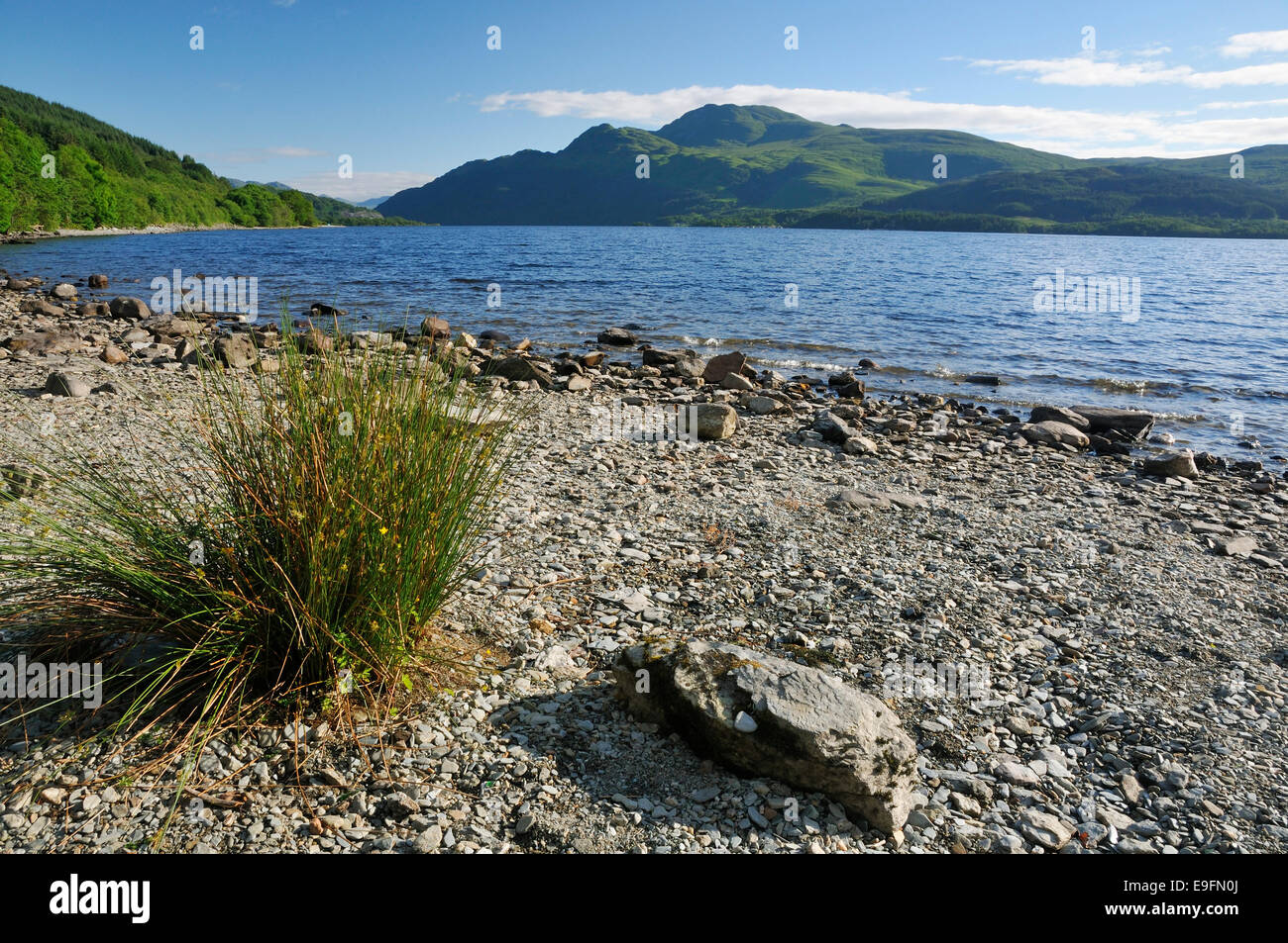 Loch Lomond, et Ben Lomond. Argyll, Scotland Banque D'Images