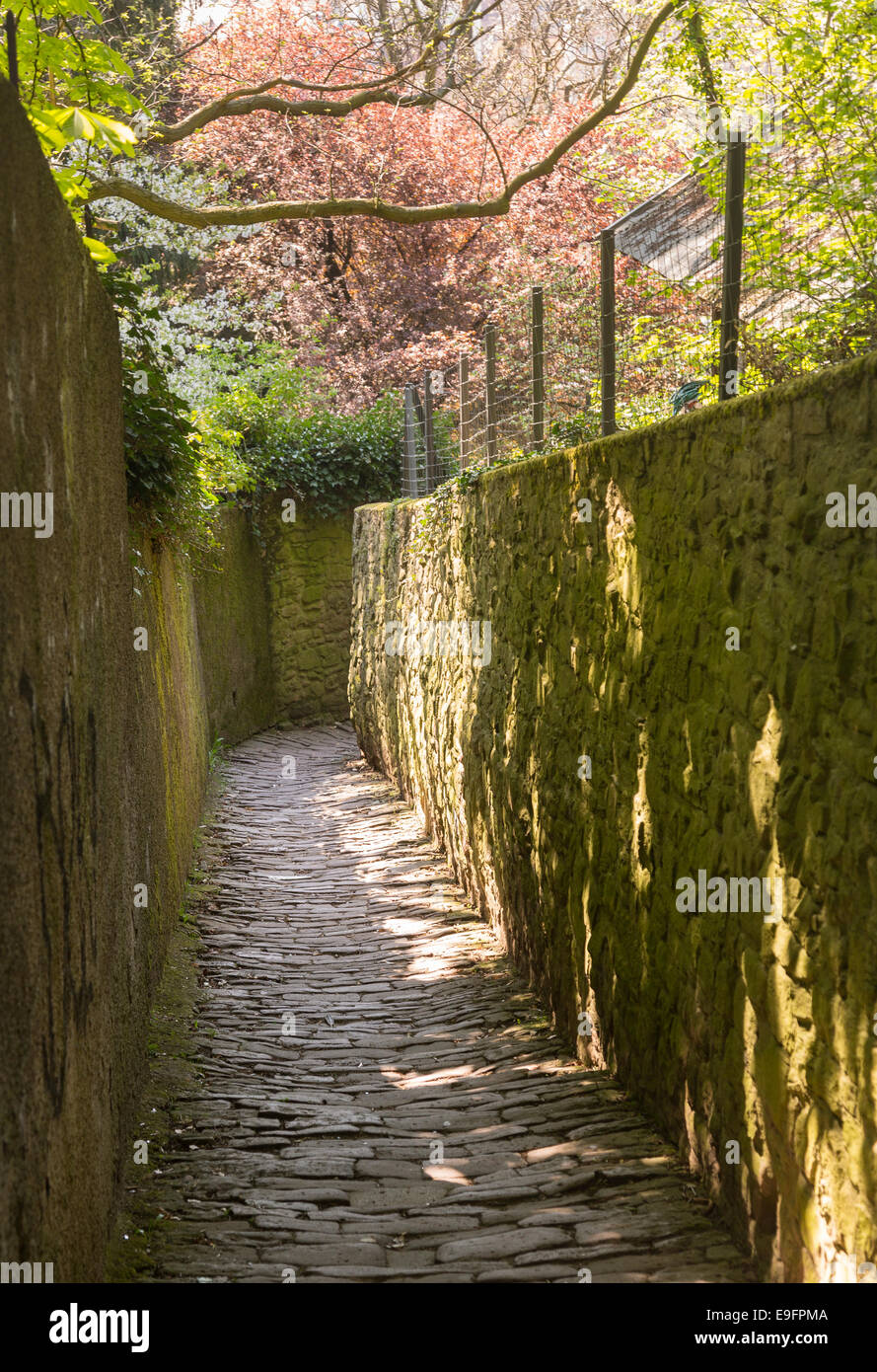 Au-dessus du chemin de la vieille ville de Heidelberg Allemagne Banque D'Images