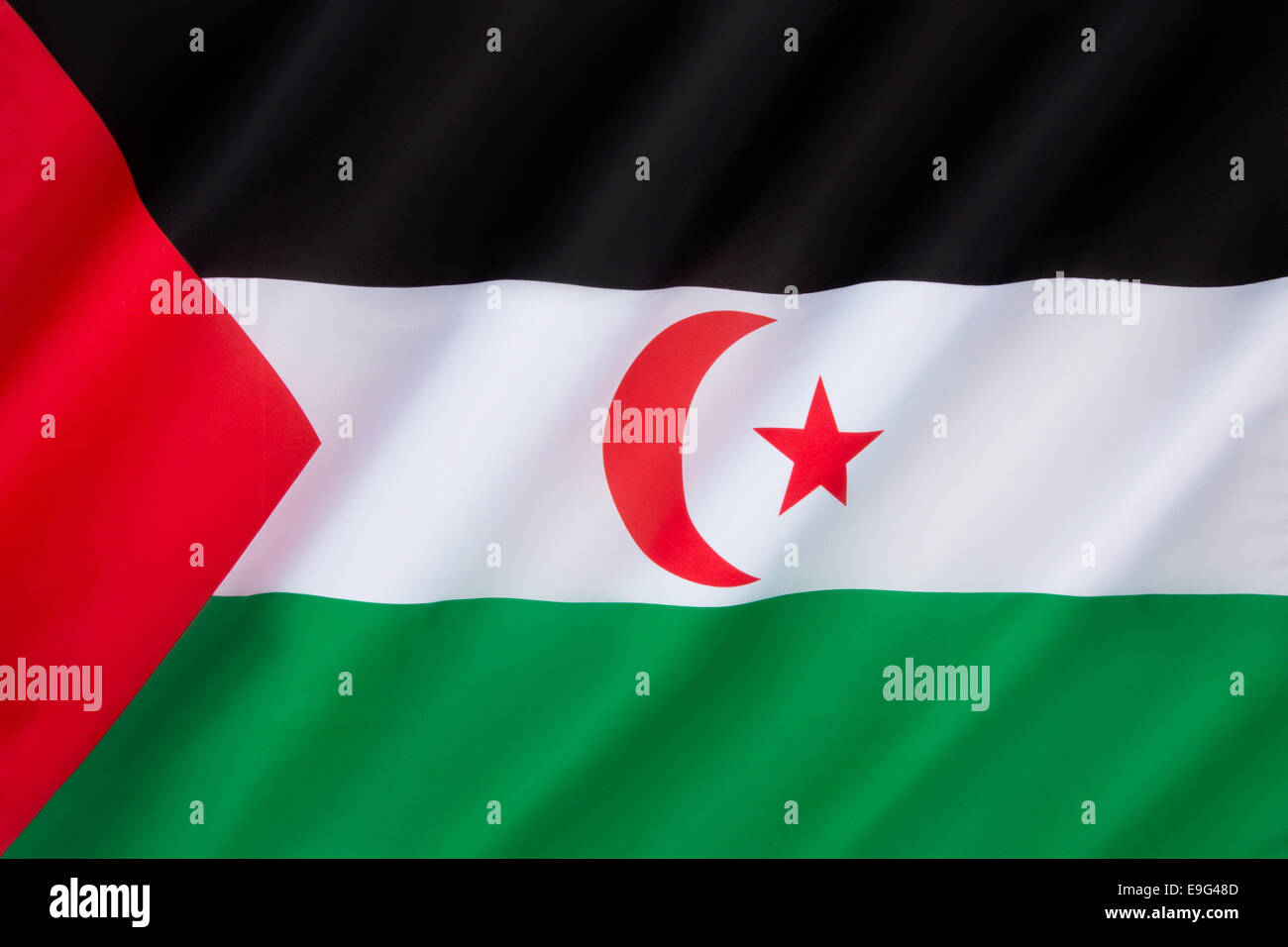 Drapeau du Sahara Occidental Banque D'Images