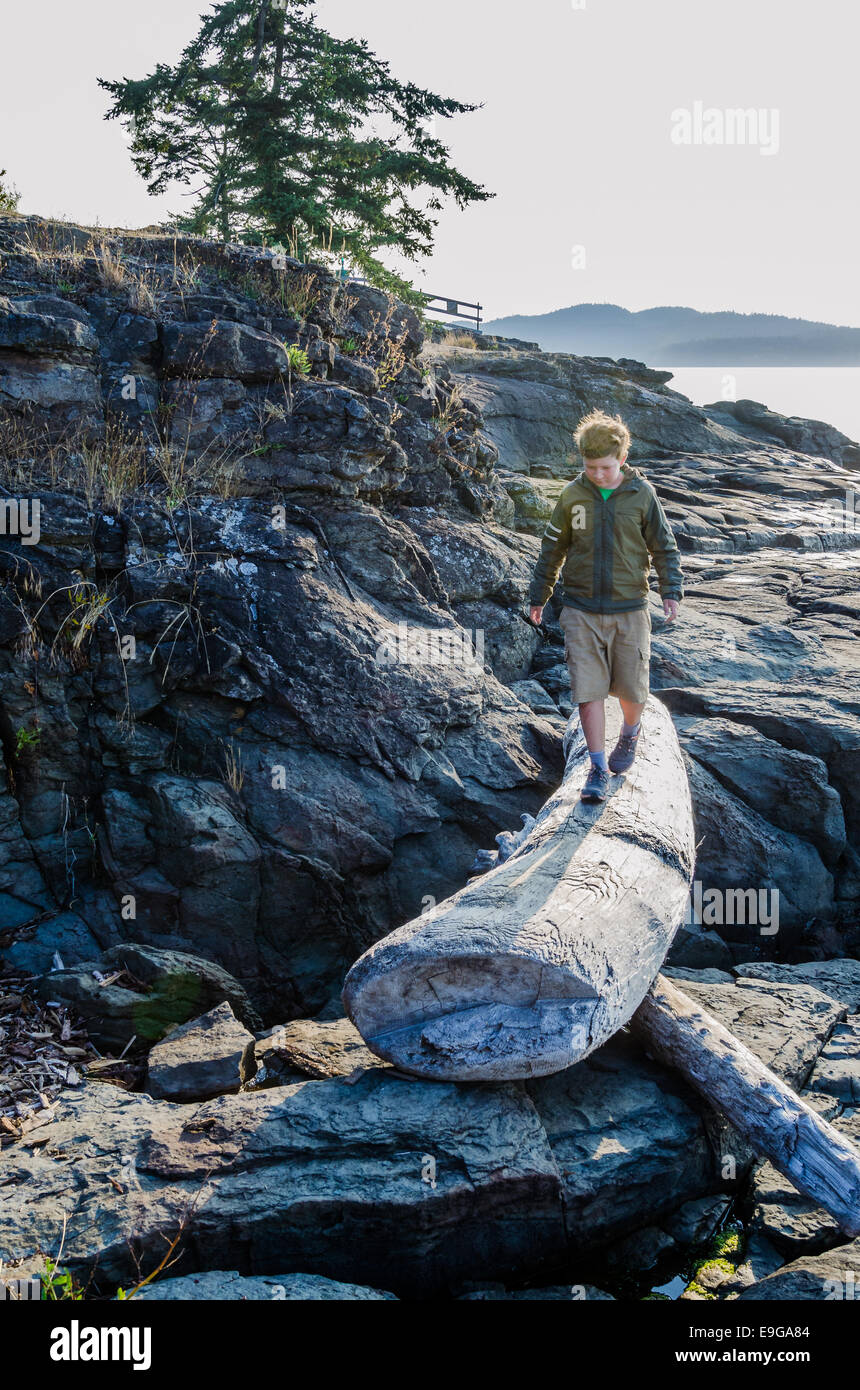 On driftwood, journal du parc provincial Ruckle, Salt Spring Island, British Columbia, Canada Banque D'Images