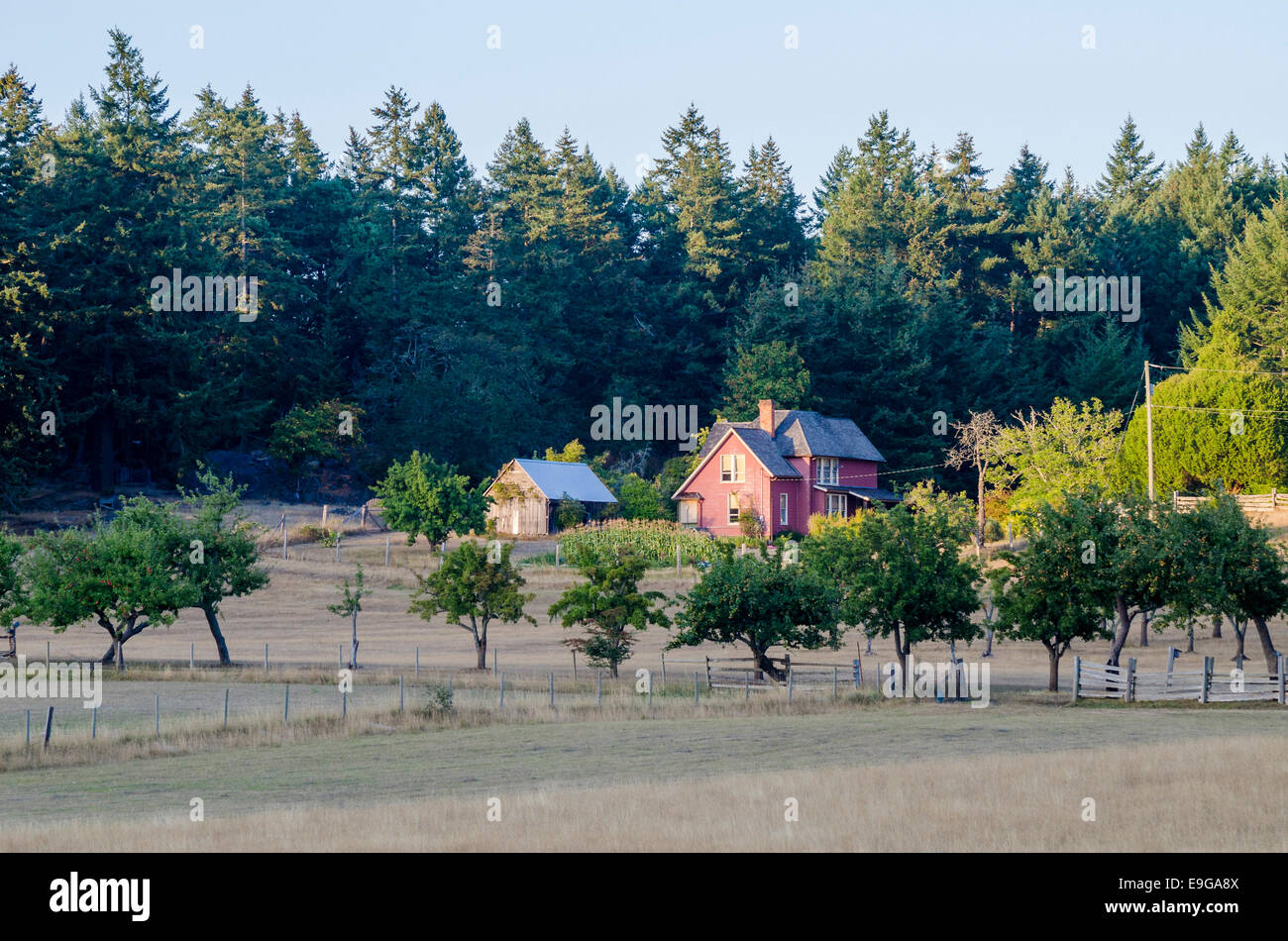 Maison de ferme, parc provincial Ruckle, Salt Spring Island, British Columbia, Canada Banque D'Images