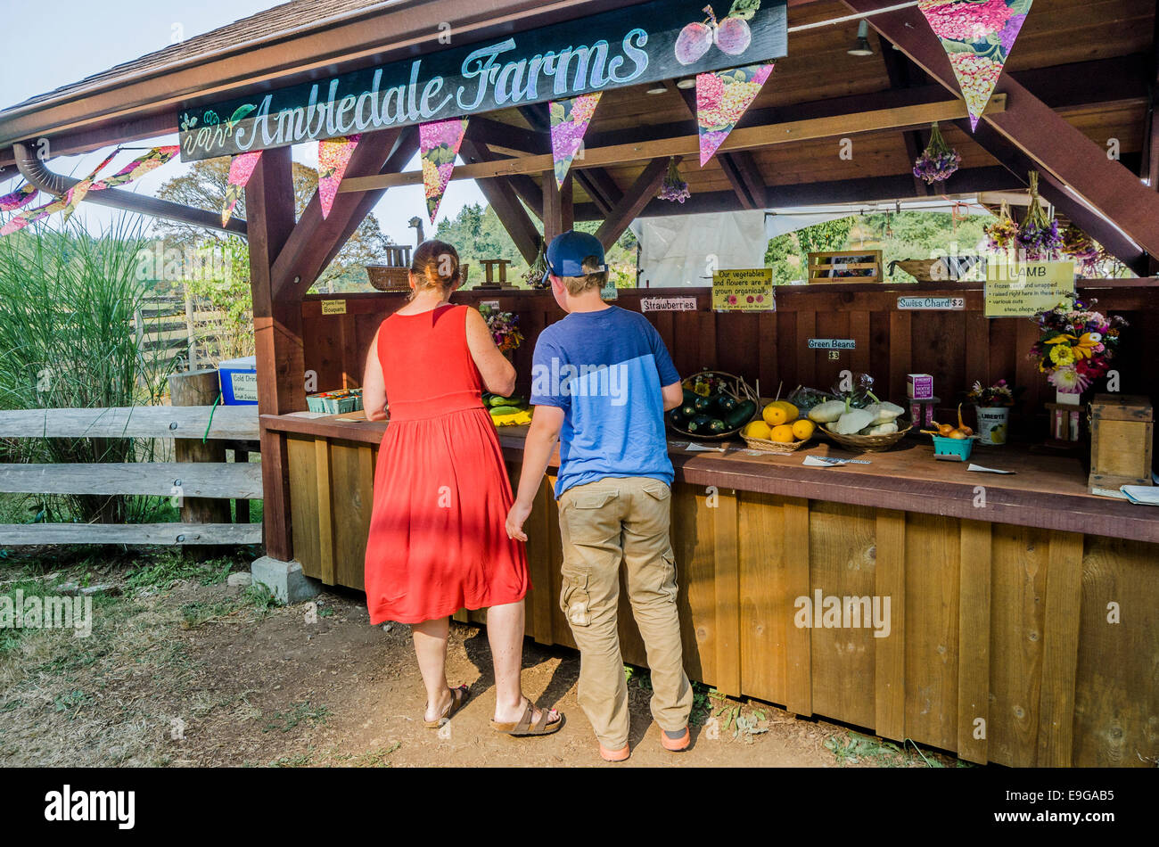 Produire en bordure de stand, Salt Spring Island, British Columbia, Canada Banque D'Images