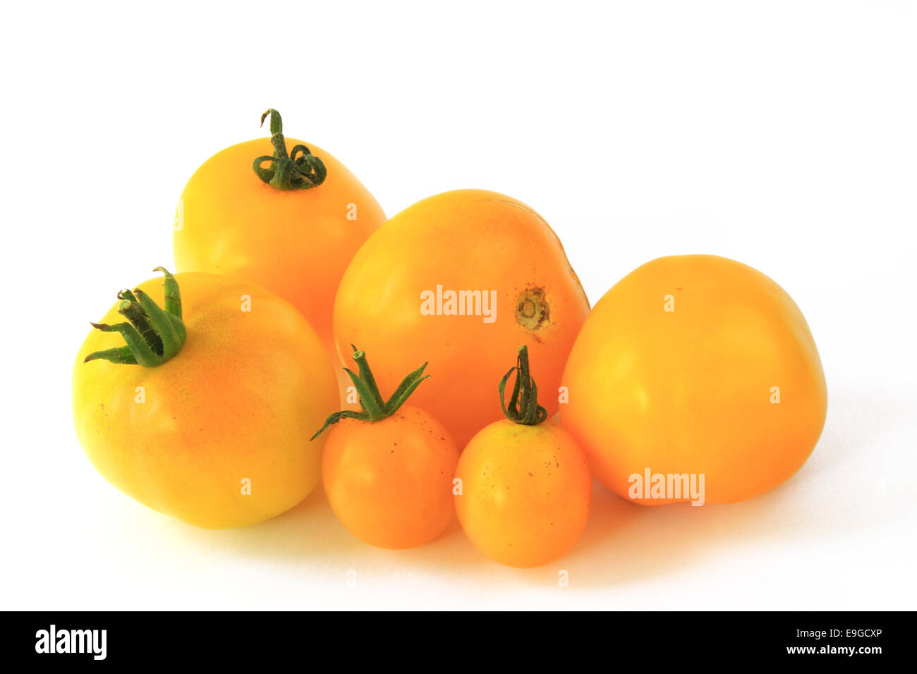 Tomates jaunes (Solanum lycopersicum) Banque D'Images