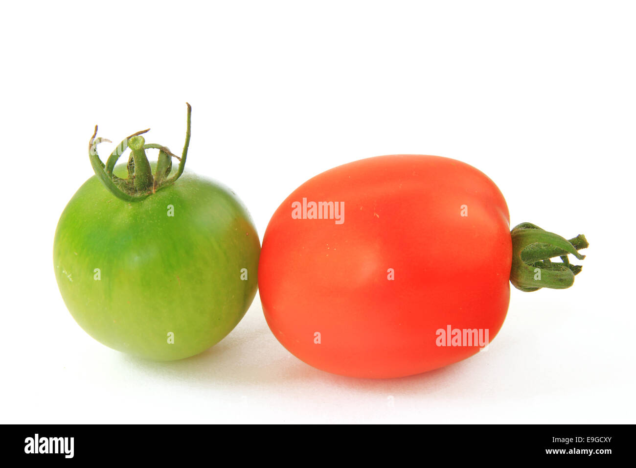 Tomate rouge et vert Banque D'Images