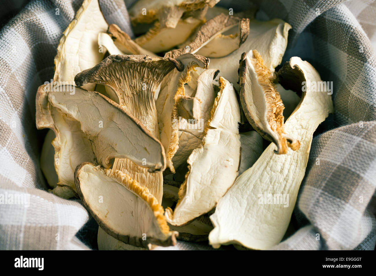 Les champignons séchés sur des nappes à carreaux Banque D'Images