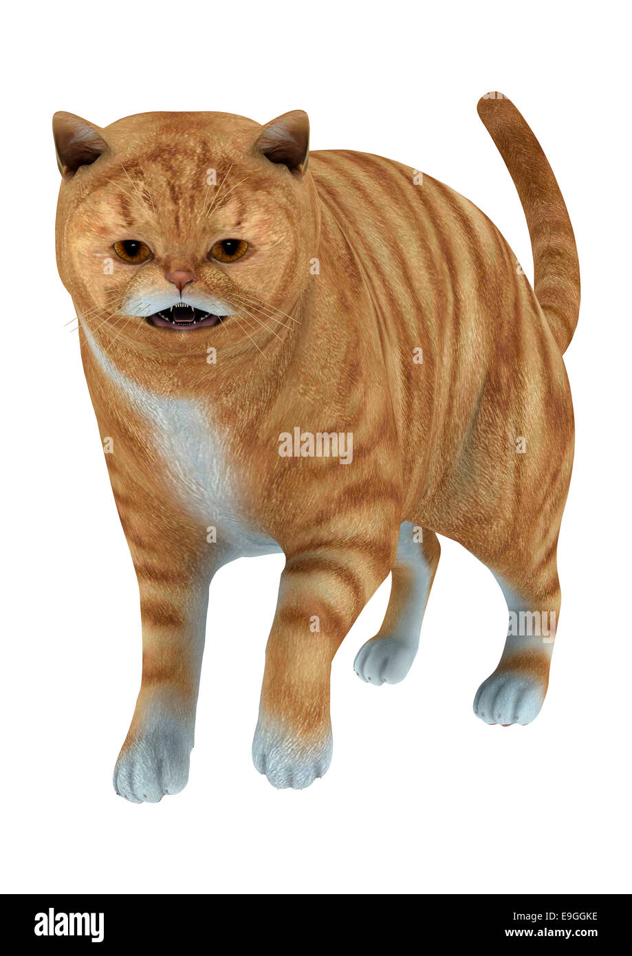 Numérique 3D render of a big red tabby cat isolé sur fond blanc Banque D'Images