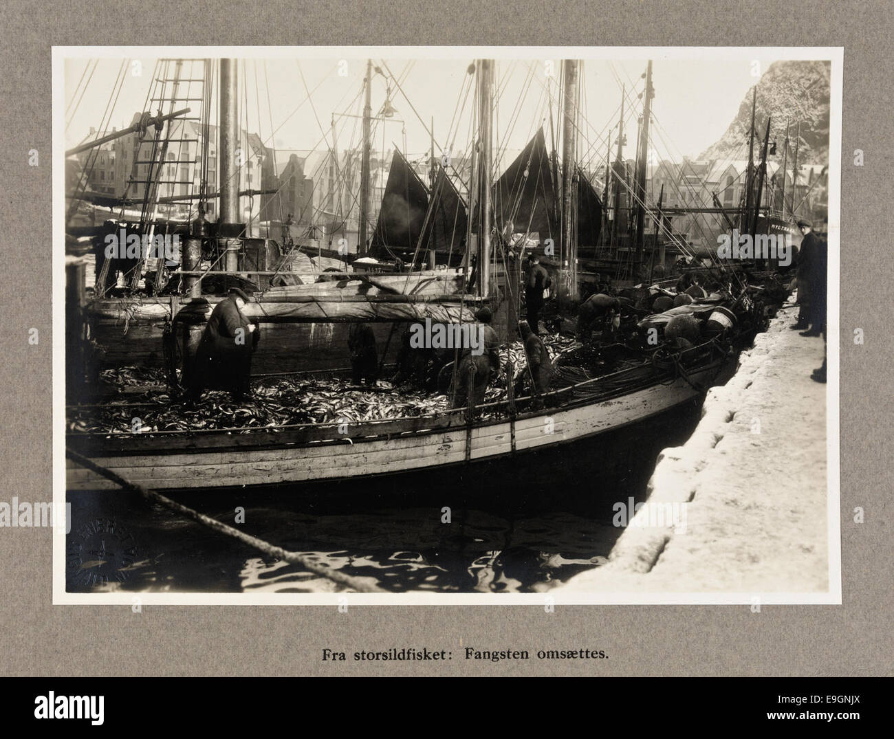 Une photographie documentaire montrant l'opération de pêche au hareng à grande échelle en Norvège en 1920. L'image montre des pêcheurs et des bateaux de pêche engagés dans la capture de hareng, documentant une partie importante de l'économie maritime de la Norvège. Banque D'Images