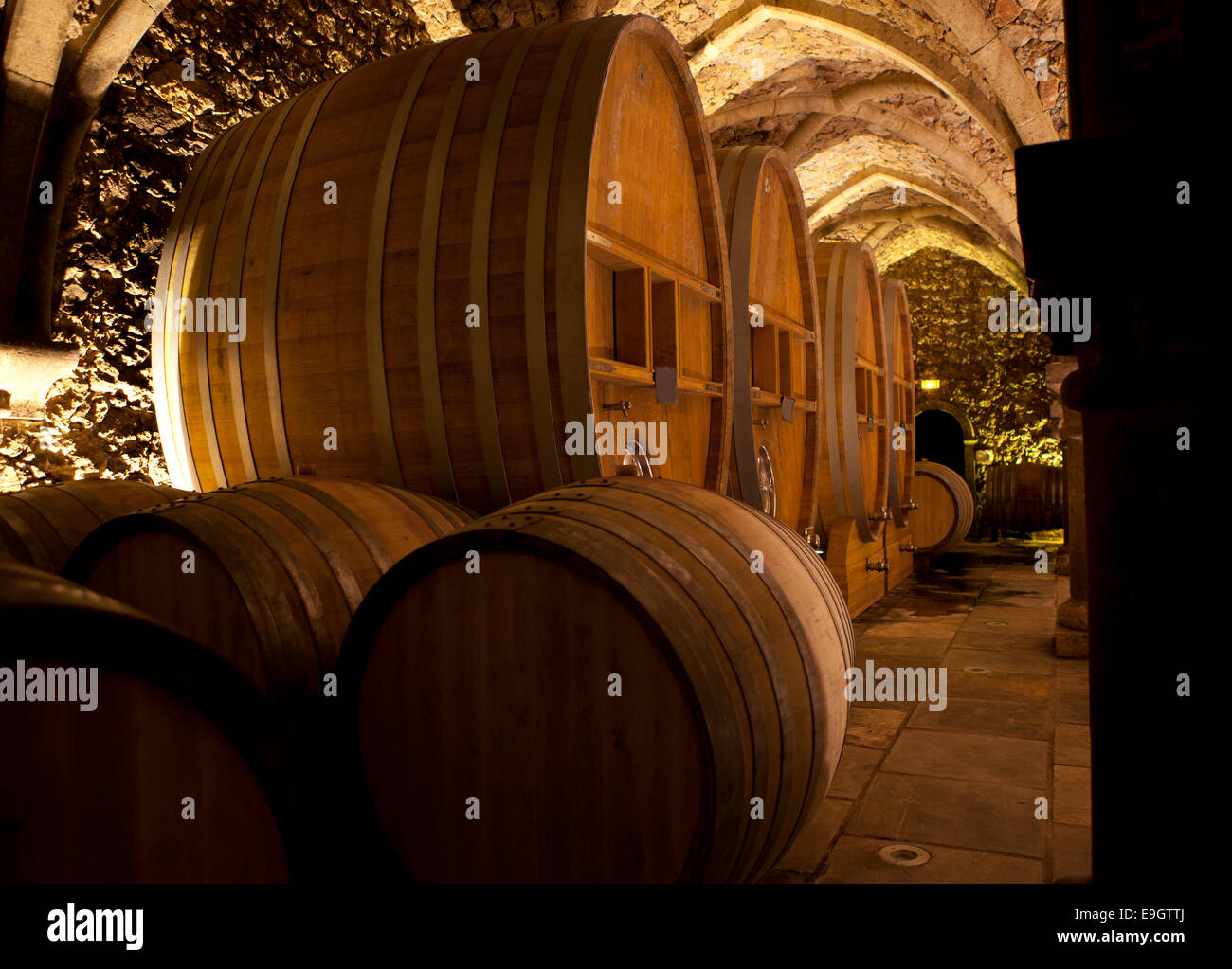 Cave à vin vieux bâtiment avec de grands fûts pour le stockage de vins fins Banque D'Images