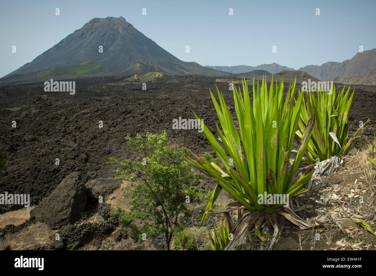 Le volcan Pico do Fogo Fogo, Parc National, l'île de Fogo, Cap-Vert Banque D'Images