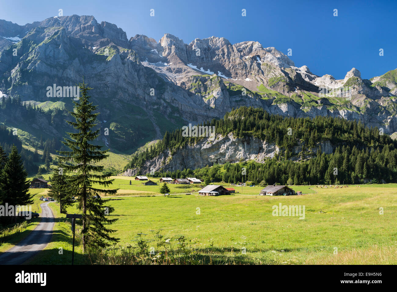 Pâturage ensoleillé dans la vallée de Val d'Illiez, Champéry, Canton du Valais, Suisse Banque D'Images