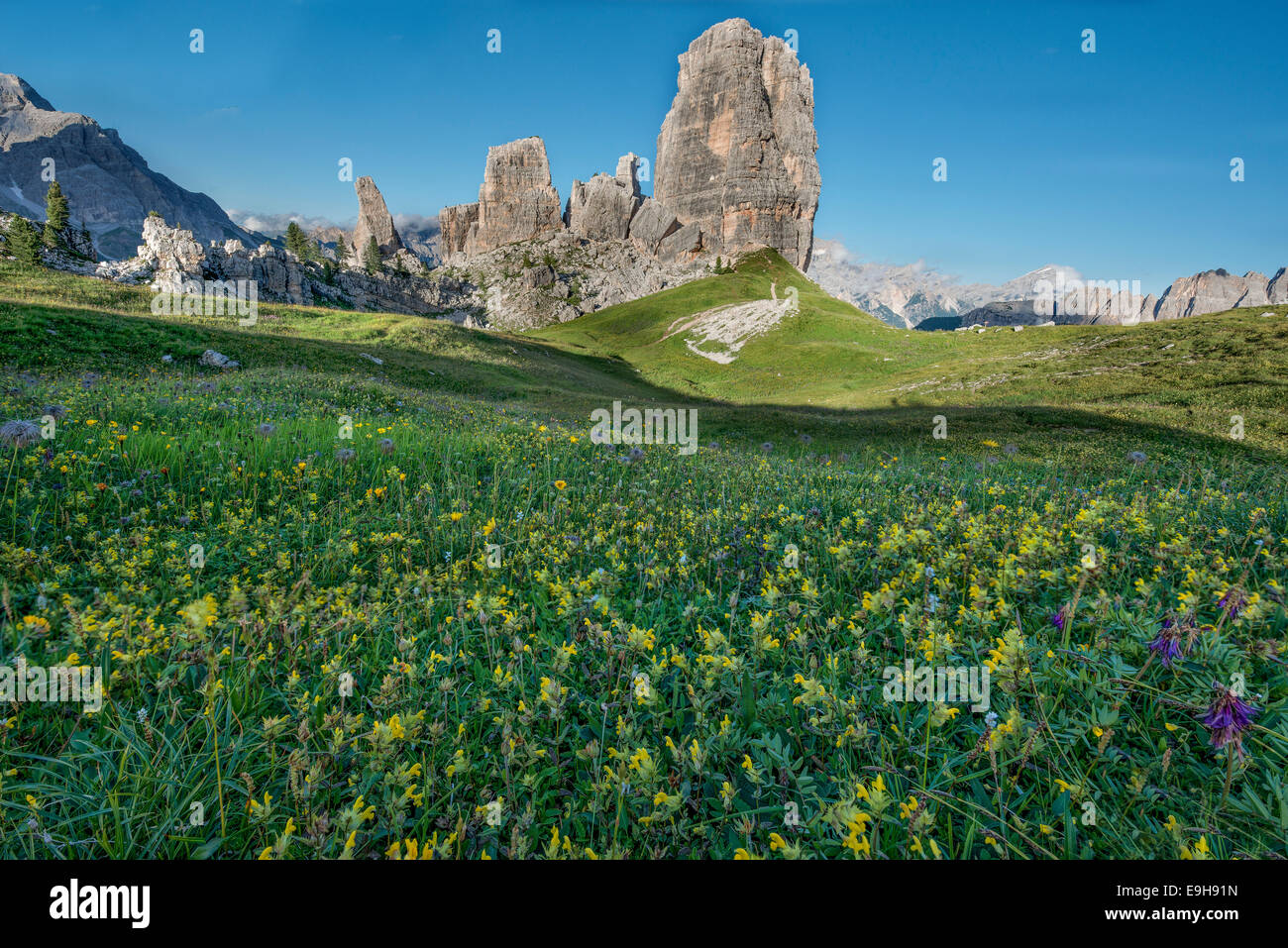 Cinque Torri avec ciel bleu et une prairie de fleurs jaunes à l'avant-plan, les Dolomites, Veneto, Italie Banque D'Images