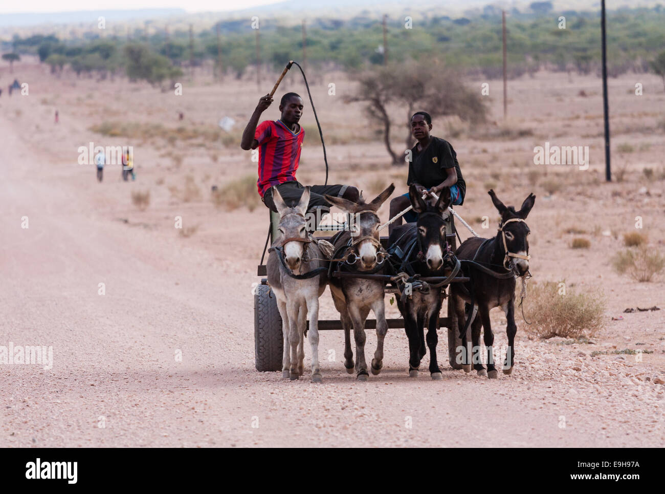 Deux jeunes hommes voyageant sur une charrette à âne, Kaokoland, Kunene, Namibie Banque D'Images