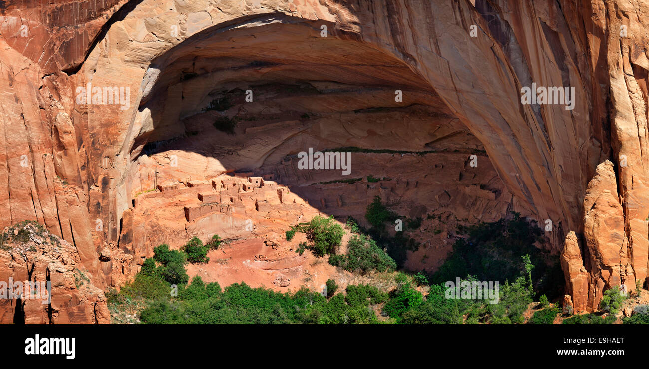 Ancien Cliff dwellings de l'Anasazi, Betatakin Ruinen, Betatakin Canyon, Navajo National Monument, Flagstaff, Arizona Banque D'Images