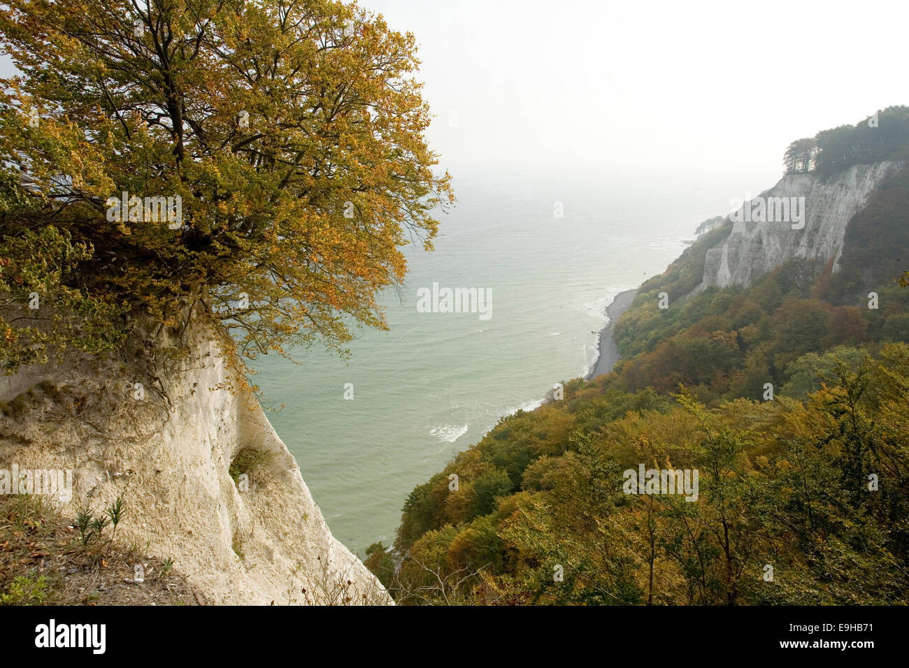 Vue à partir de la chaise du Roi, le Parc National de Jasmund, Rügen, Mecklembourg-Poméranie-Occidentale, Allemagne Banque D'Images