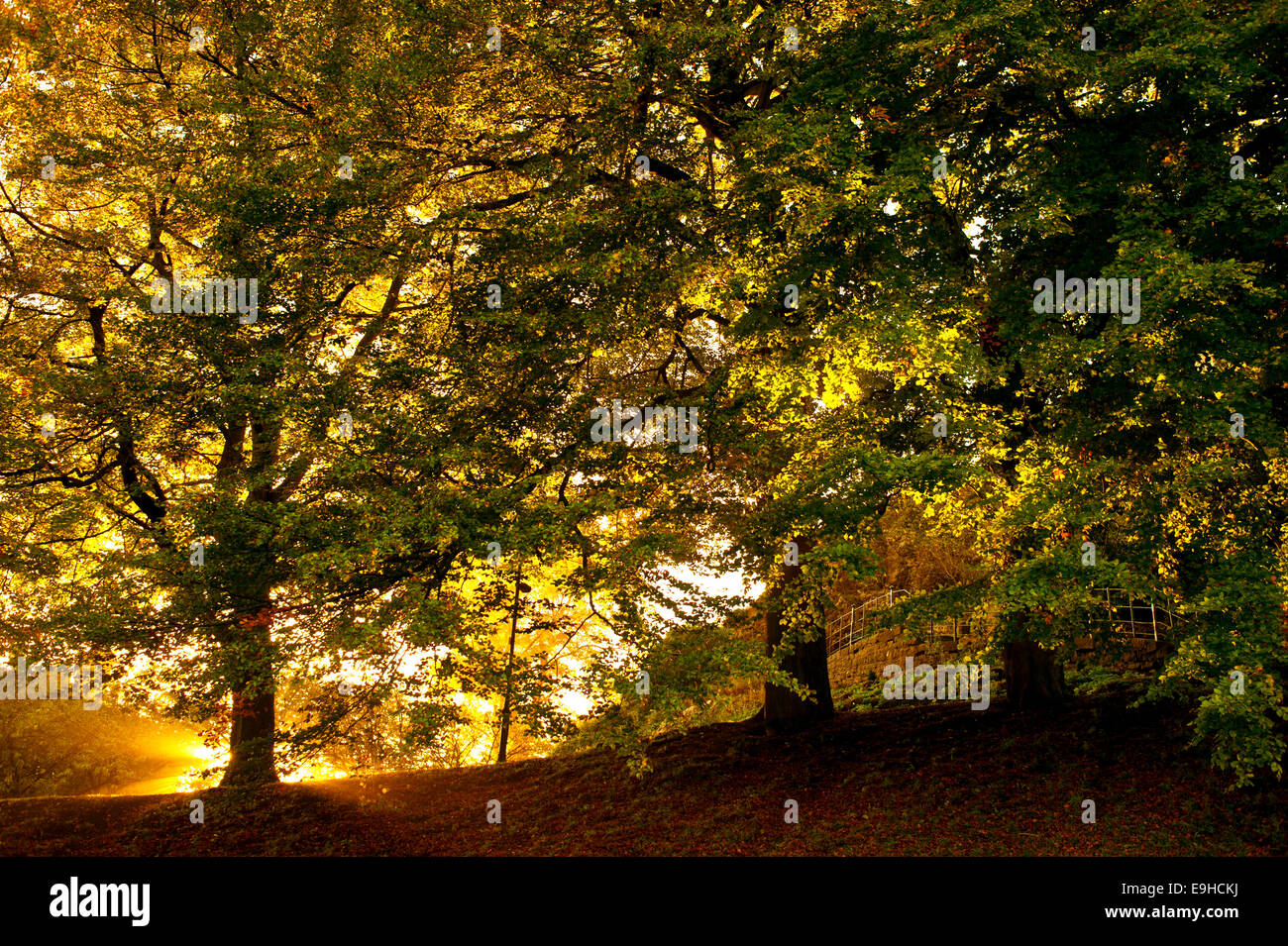 Dans des teintes d'automne, Château de Clitheroe Lancashire, Royaume-Uni. Banque D'Images