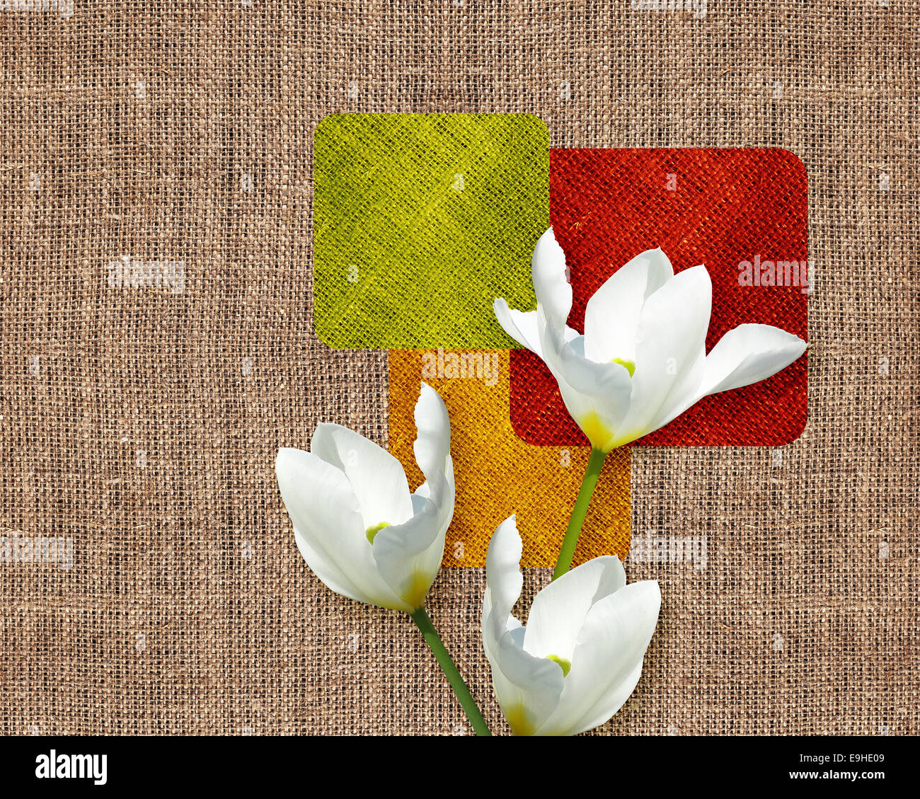 Carte postale fleurs Banque D'Images