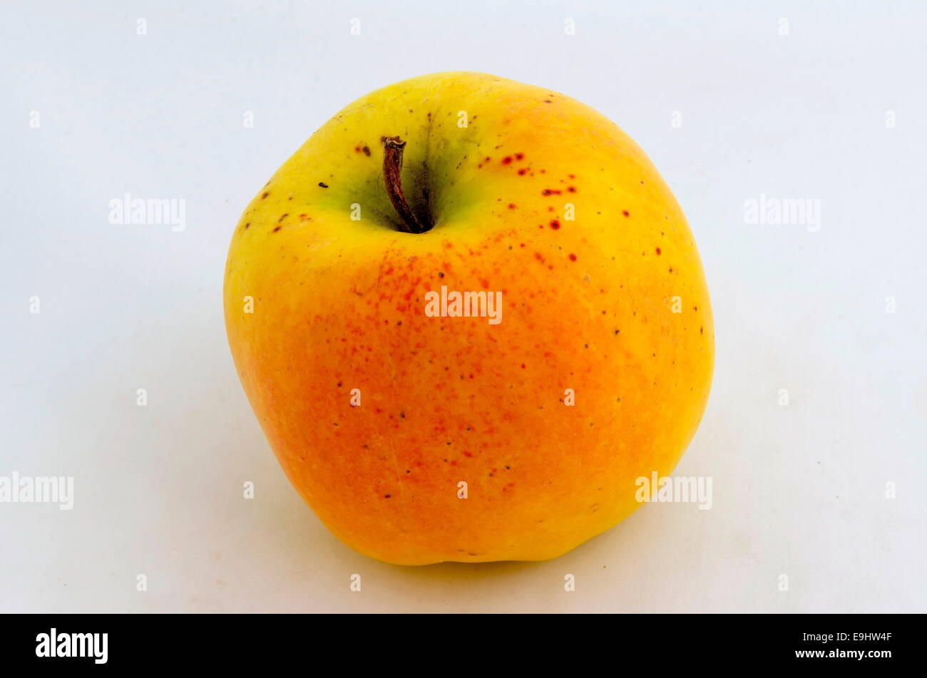 Red, yellow ripe apple savoureux Banque D'Images