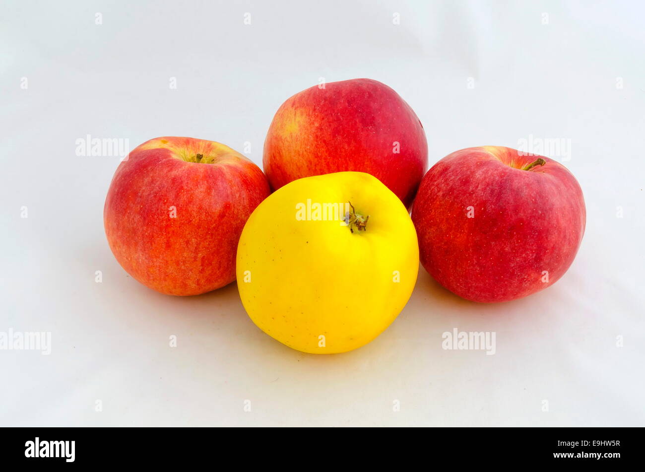 Red, yellow ripe apple savoureux Banque D'Images