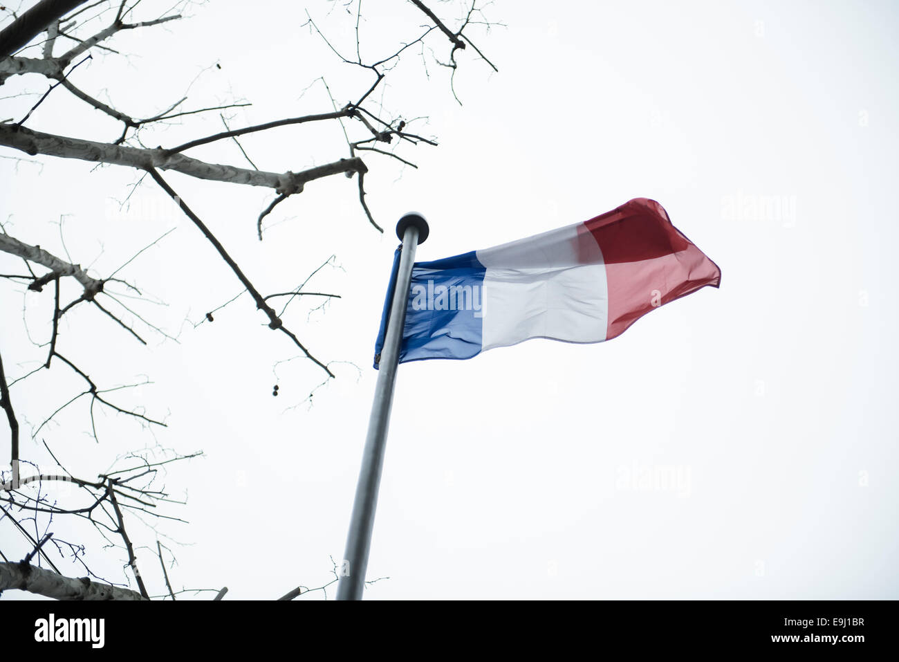 Drapeau français sur fenêtre Banque de photographies et d’images à