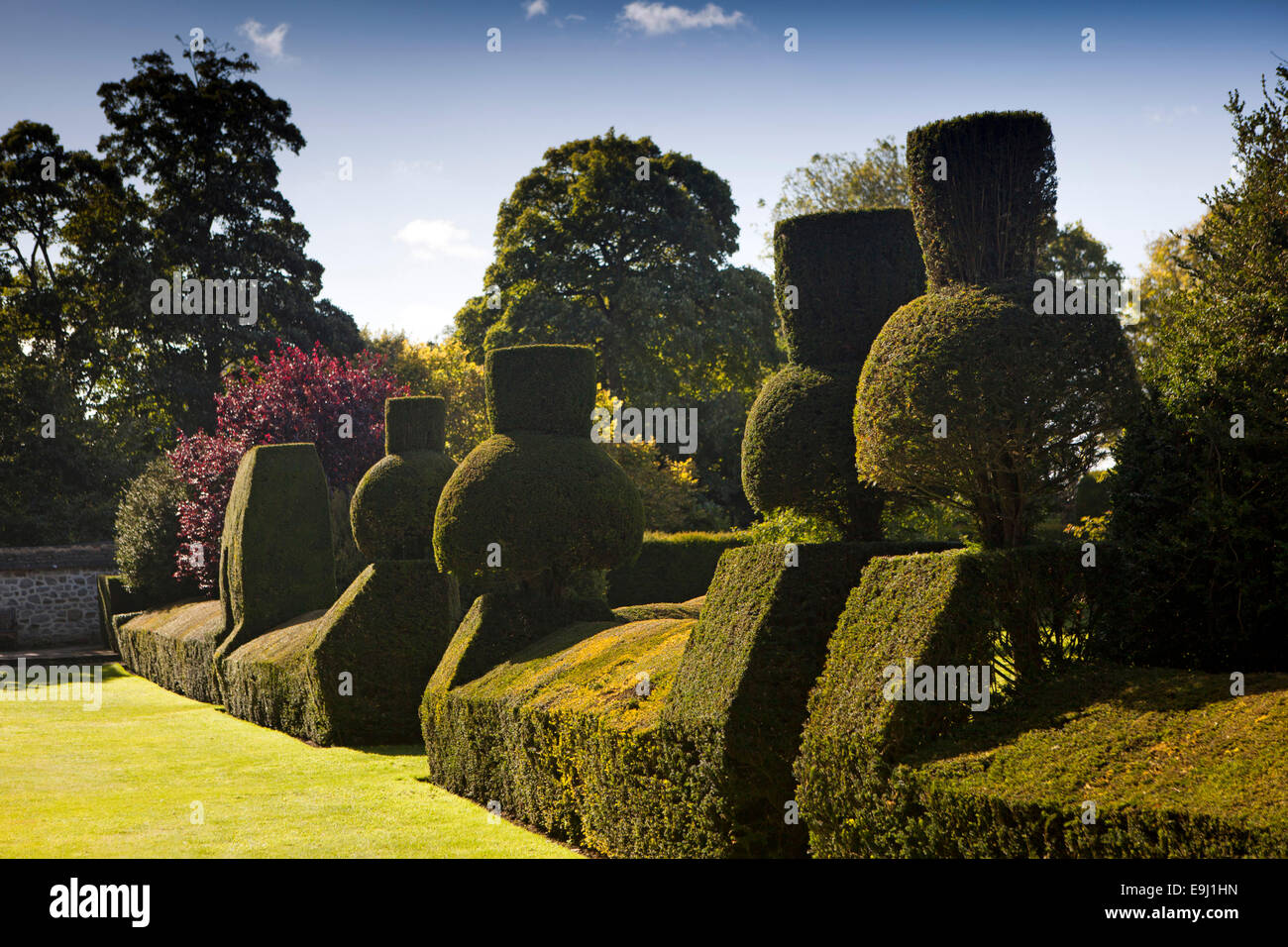 Royaume-uni, Angleterre, dans le Wiltshire, Avebury Manor gardens, haie topiaire Banque D'Images