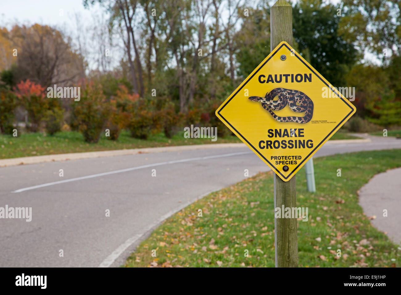 Monroe, Michigan - un signe pour un serpent sur une route de passage chez Sterling State Park. Banque D'Images