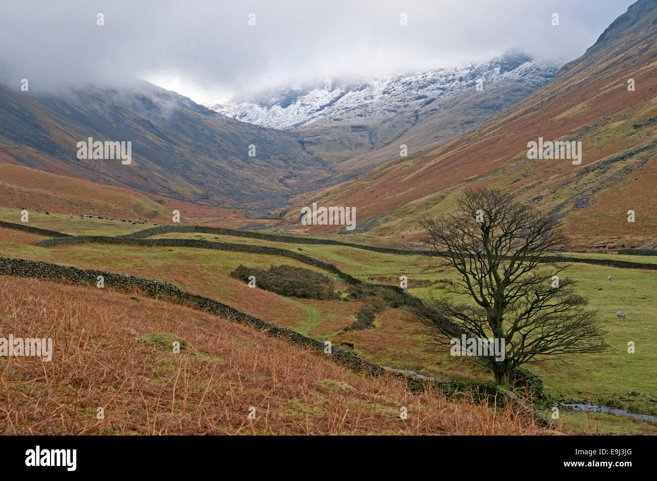 Vue d'hiver de près de Burnthwaite, Wasdale Head, à Knotts, Kern a chuté et la grande fin Seathwaite Banque D'Images