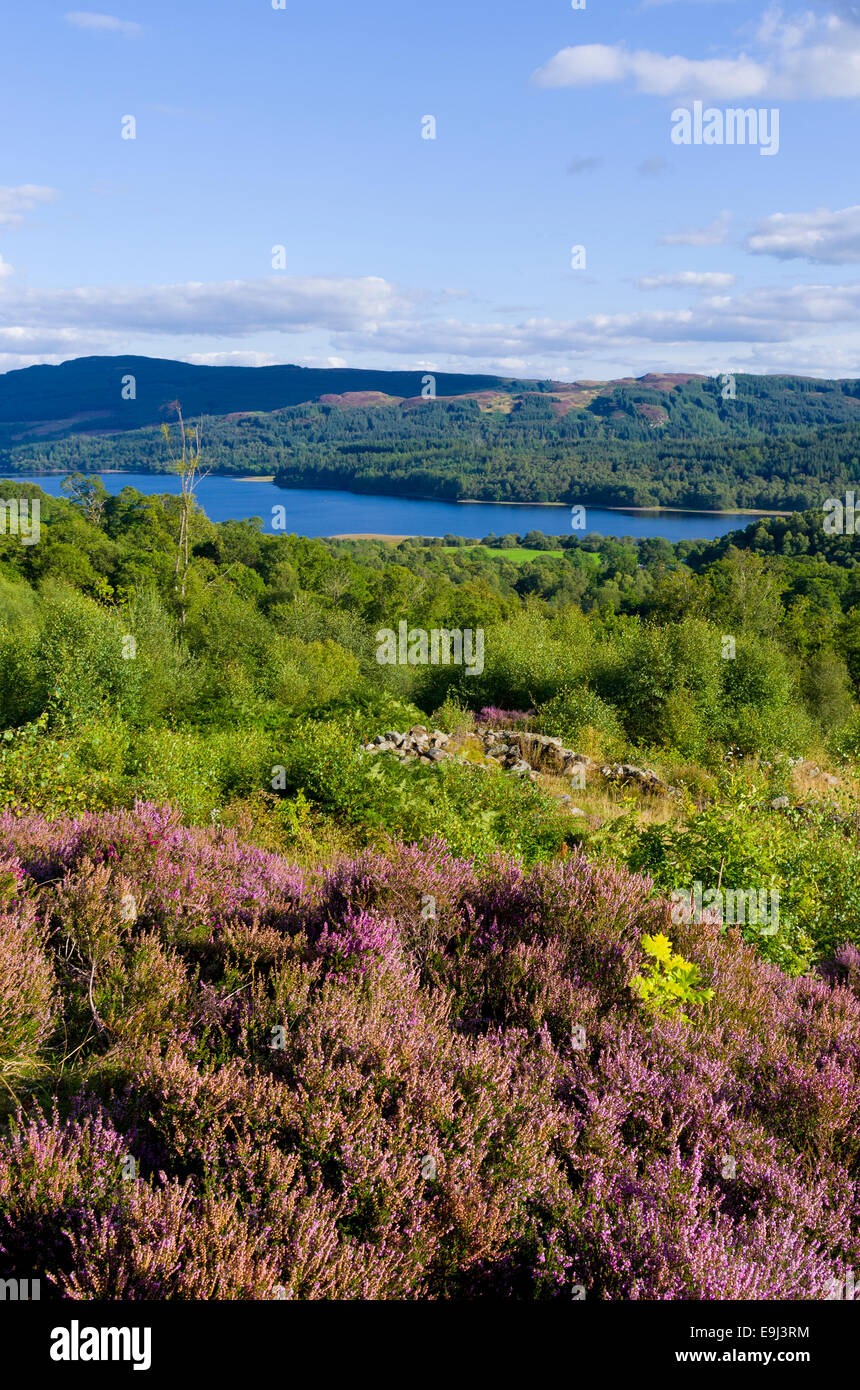 Ruines d'Drippan Loch Venachar, ferme et Lendrick Hill, Glen Finglas, Trossachs, Stirlinghsire Ecosse, Royaume-Uni Banque D'Images