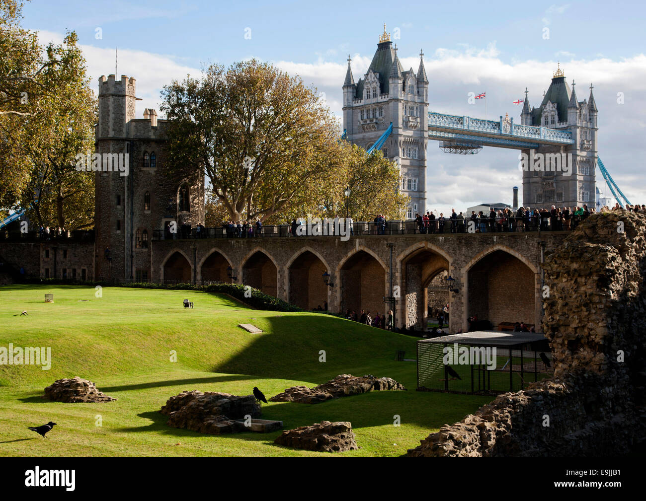 Des corbeaux à la Tour de Londres Banque D'Images
