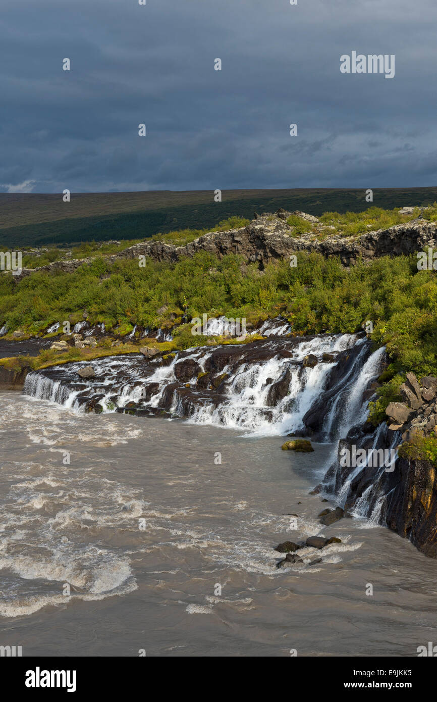 Cascades de Hraunfossar, de la rivière Hvita, près de Húsafell et Reykholt, Islande Banque D'Images