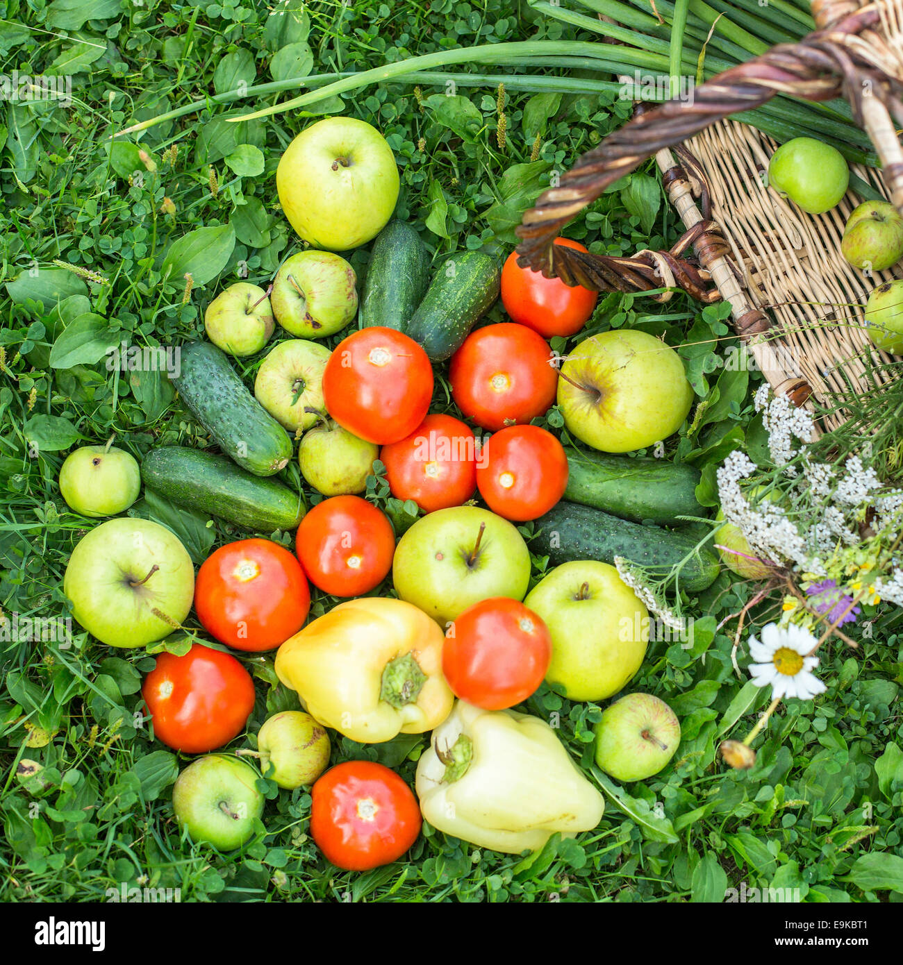 Fruits et légumes panier de renversé sur l'herbe. Banque D'Images