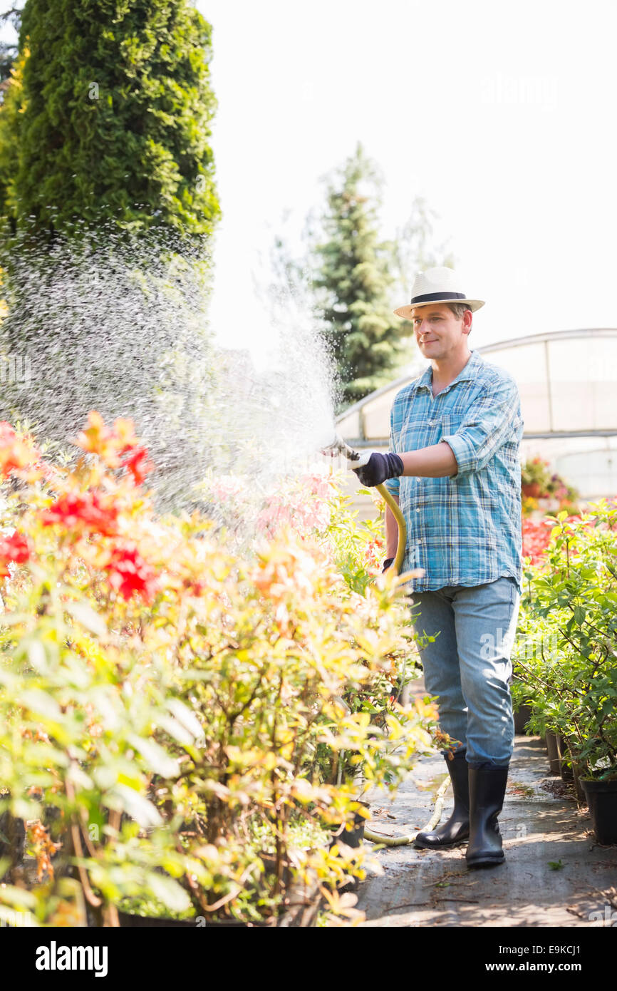 L'homme sur toute la longueur de l'arrosage des plantes à l'extérieur de gaz à effet de Banque D'Images