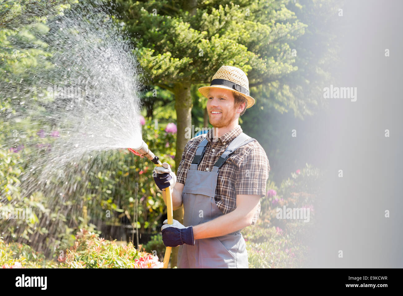 Happy man watering plants at garden Banque D'Images