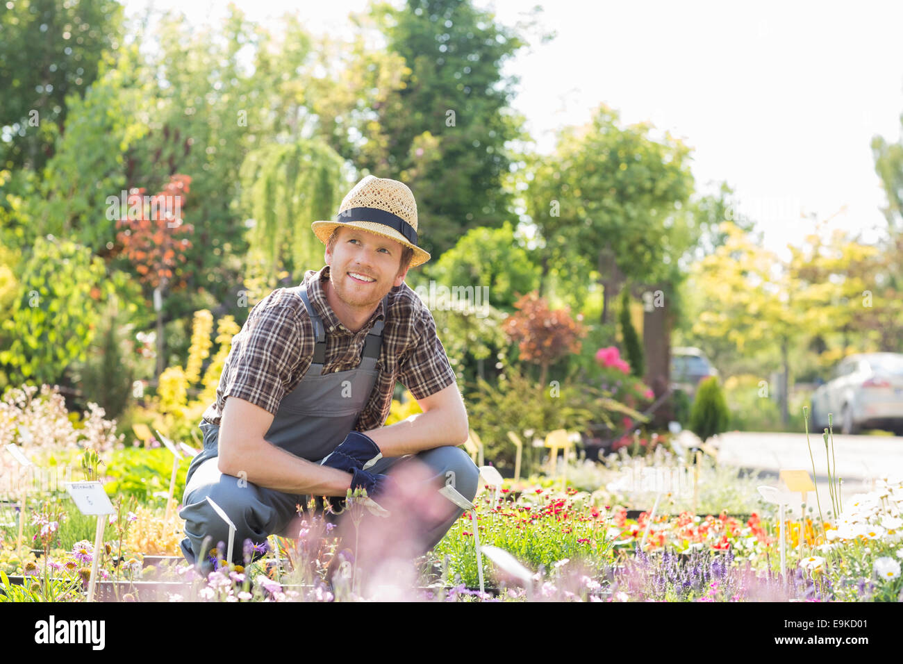 L'homme à la voiture tandis que les travaux de jardinage à la pépinière Banque D'Images