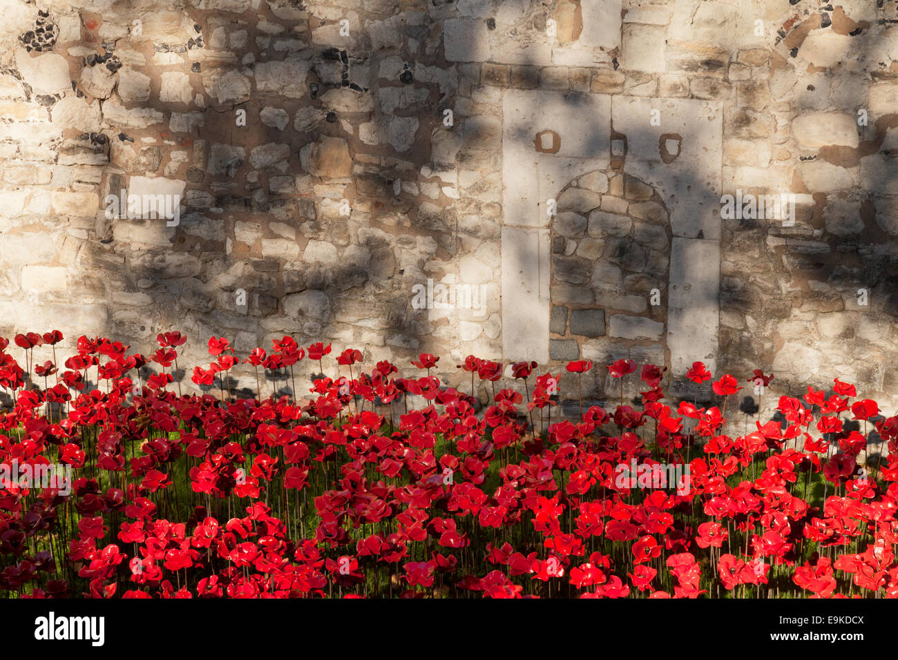 Tour de Londres les coquelicots afficher comme un mémorial pour les morts de la Première Guerre mondiale ( WW1 ), London England UK Banque D'Images