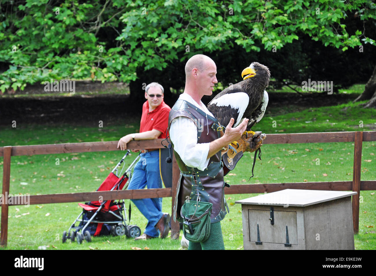 Un géant l'aigle de mer de Steller et formateur/handler à Warwick Castle, avec un spectateur. Angleterre, Royaume-Uni. Banque D'Images