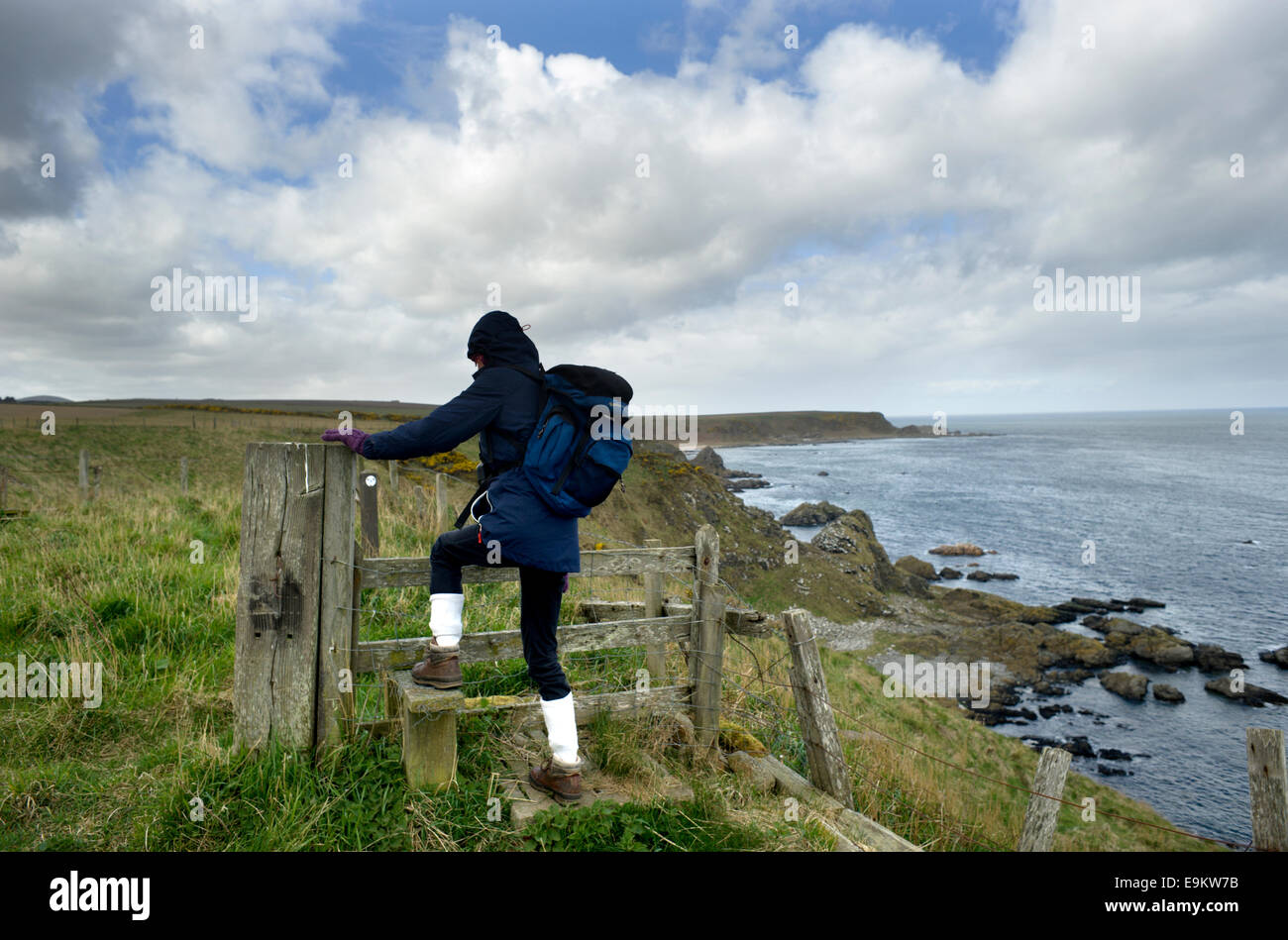 Walker femelle grimpe dans un stile sur la Nef Nortrail long distance sentier du littoral sur la côte de Banff et Buchan Banque D'Images