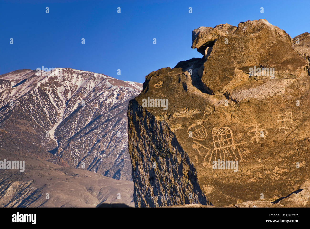 Red Canyon pétroglyphes, White Mtns dans dist, coucher de soleil, les poissons Slough Road près de Bishop, Owens Valley, désert de Mojave, Californie, USA Banque D'Images