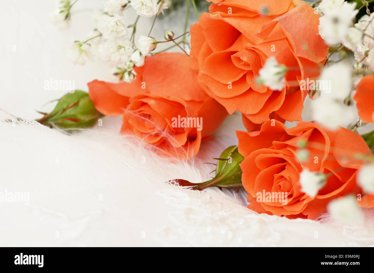 Roses Orange Sur Fond De Mariage Blanc Photo Stock Alamy