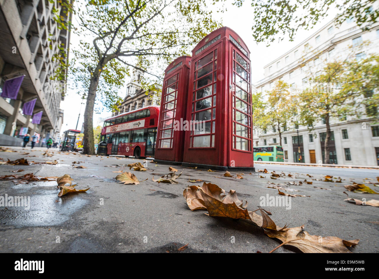 LONDRES, Royaume-Uni — des feuilles d'automne dispersent le sentier sur le Strand dans le centre de Londres, encadrant une scène britannique par excellence avec une paire de cabines téléphoniques rouges emblématiques et un bus à impériale rouge en arrière-plan. Cette image capture le charme de Londres en automne, mettant en valeur à la fois sa beauté naturelle et ses éléments urbains emblématiques. Banque D'Images