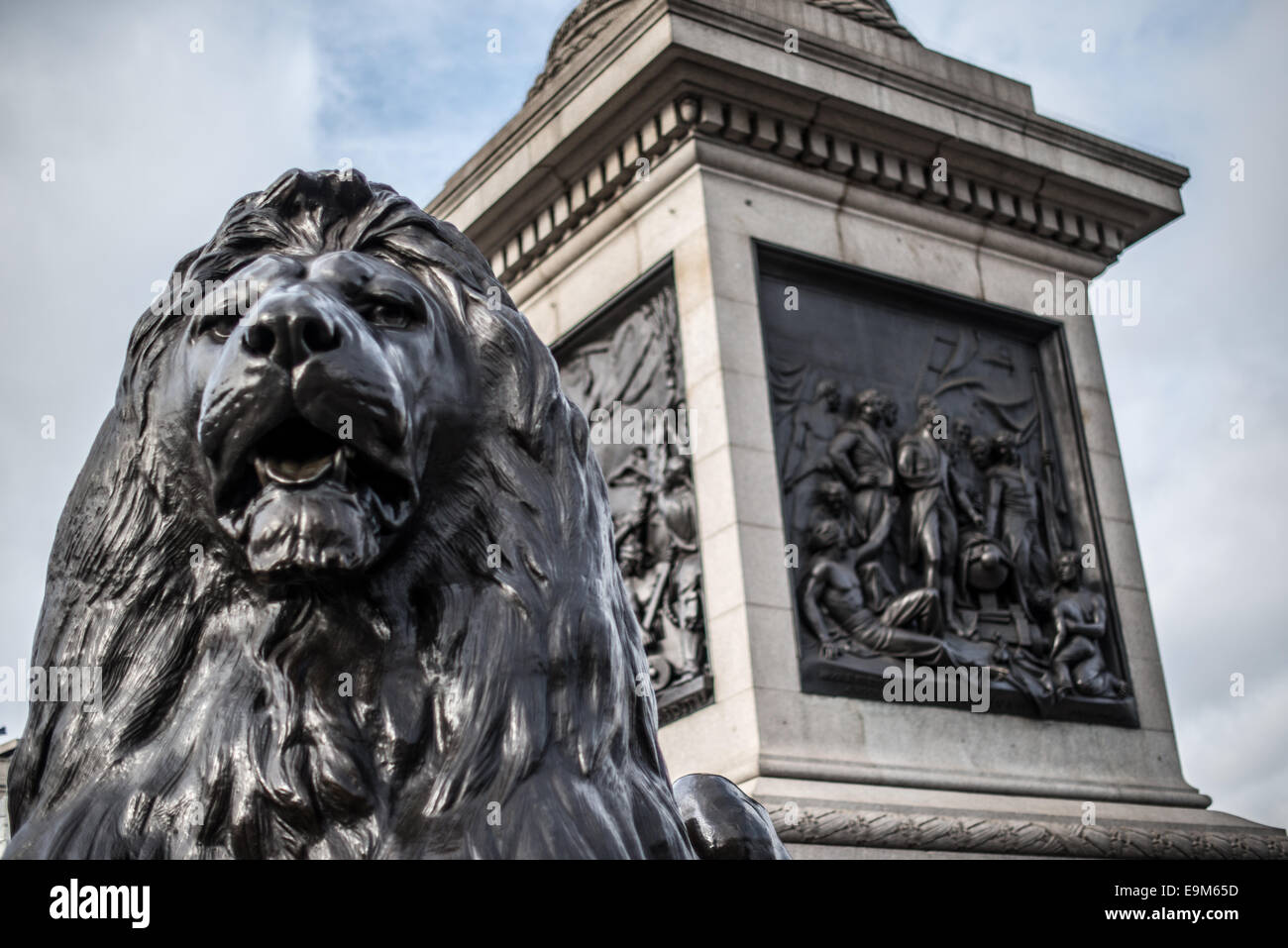 LONDRES, Royaume-Uni — L'une des quatre grandes statues de lion en bronze, connues sous le nom de Landseer Lions, à la base de la colonne Nelson à Trafalgar Square, au centre de Londres. Ces sculptures emblématiques, conçues par Sir Edwin Landseer, sont un élément important de cette place historique depuis leur installation en 1867. Banque D'Images