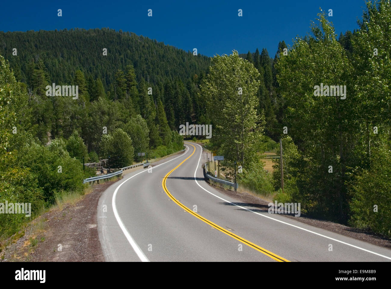 CA L'autoroute 36/89, Lassen National Forest, Californie Banque D'Images
