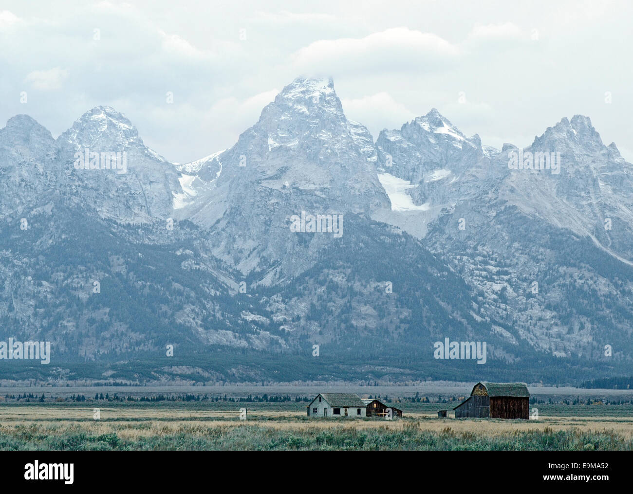 Les montagnes de Grand Teton Dominant Antelope Flats Banque D'Images