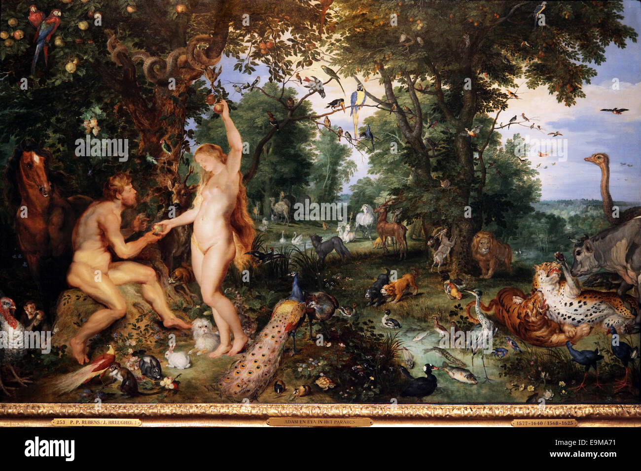 Le jardin d'Éden avec la chute de l'Homme (v.1615) une co-peinture de Jan Brueghel l'ancien (1568-1625) et Peter Paul Rubens (1577-1640) Banque D'Images