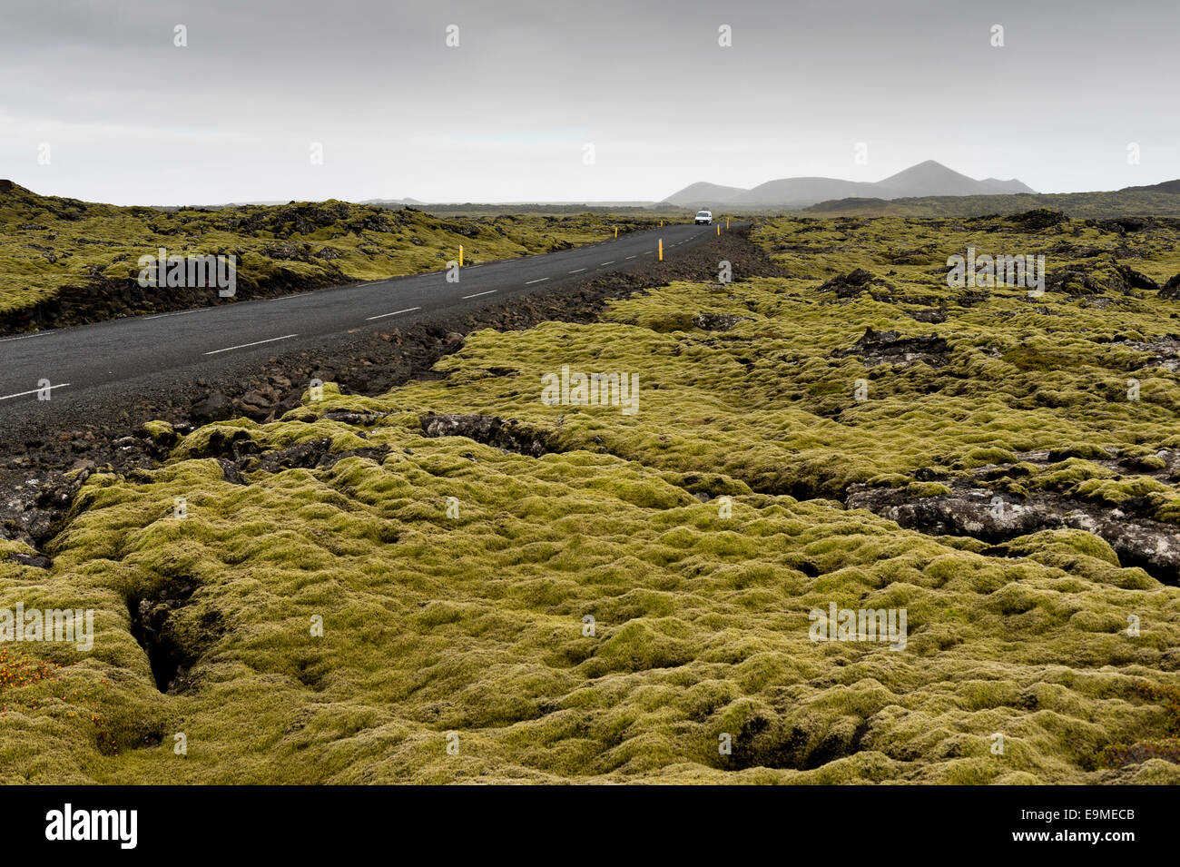 Route à travers un champ de lave, de lave couvertes par Moss (Niphotrichum Rock allongés elongatum), Reykjanesskagi Banque D'Images