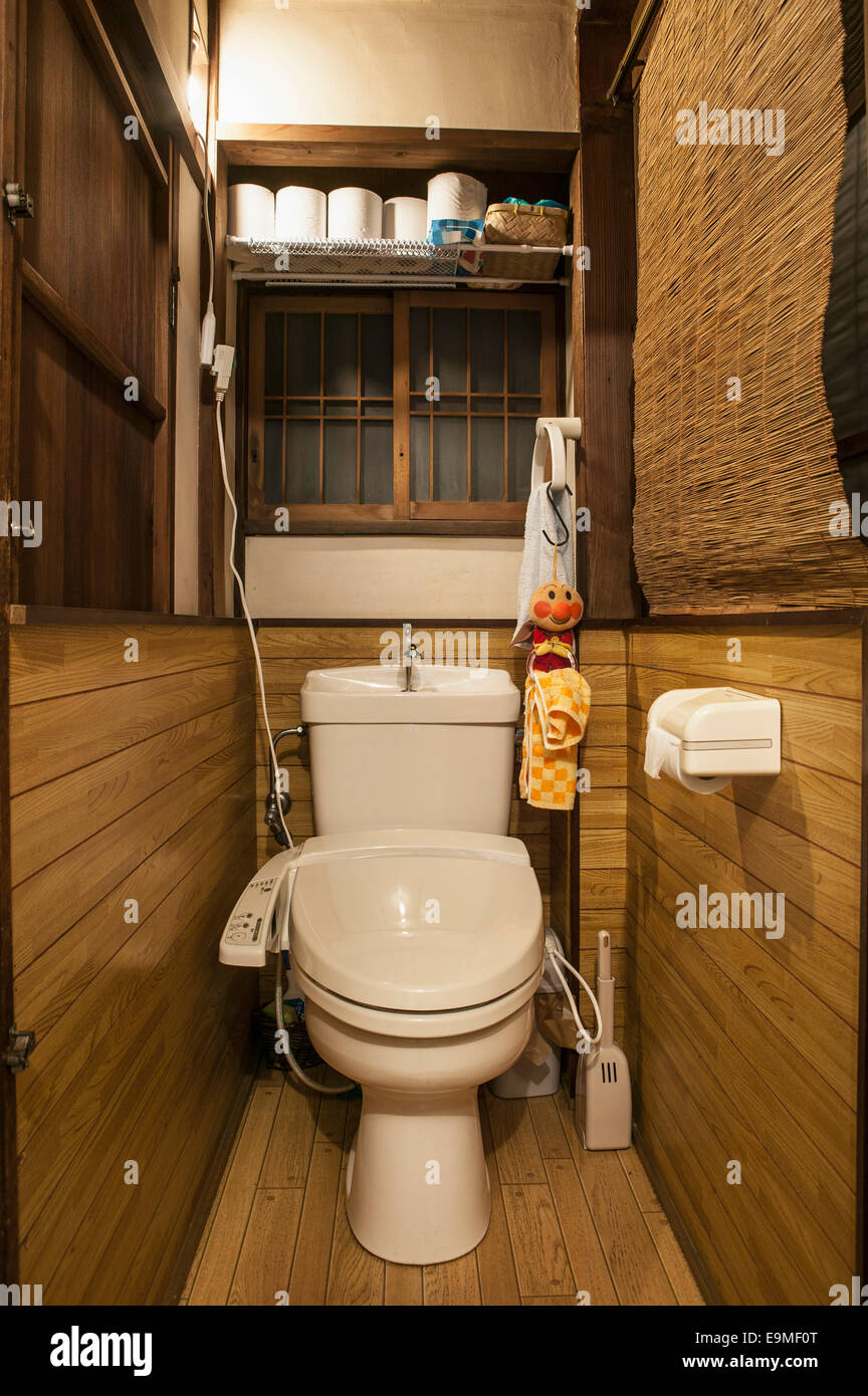 Nettoyer la cuvette des toilettes Banque D'Images